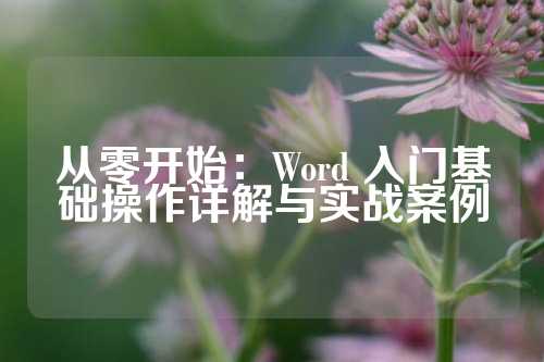 从零开始：Word 入门基础操作详解与实战案例