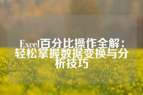 Excel百分比操作全解：轻松掌握数据变换与分析技巧