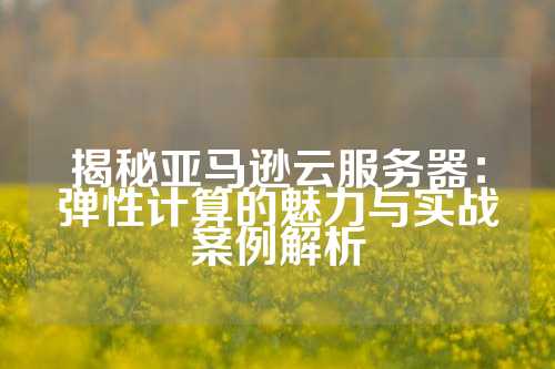 揭秘亚马逊云服务器：弹性计算的魅力与实战案例解析