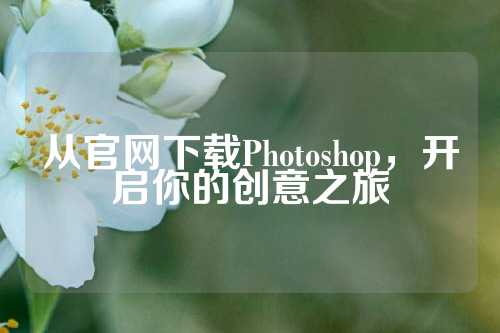 从官网下载Photoshop，开启你的创意之旅