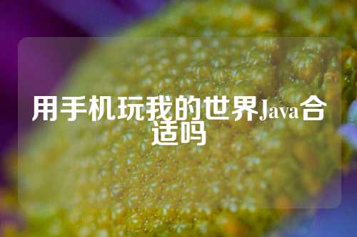 用手机玩我的世界Java合适吗