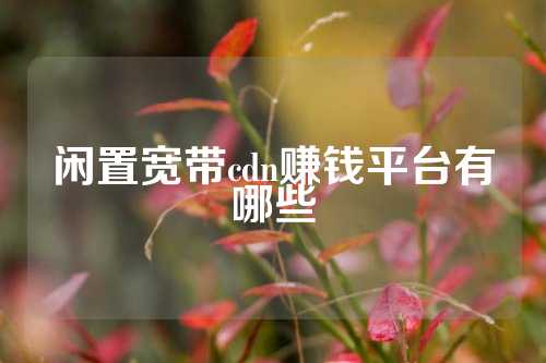 闲置宽带cdn赚钱平台有哪些