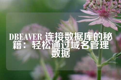 DBEAVER 连接数据库的秘籍：轻松通过域名管理数据