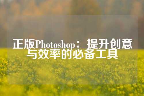 正版Photoshop：提升创意与效率的必备工具