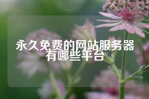 永久免费的网站服务器有哪些平台