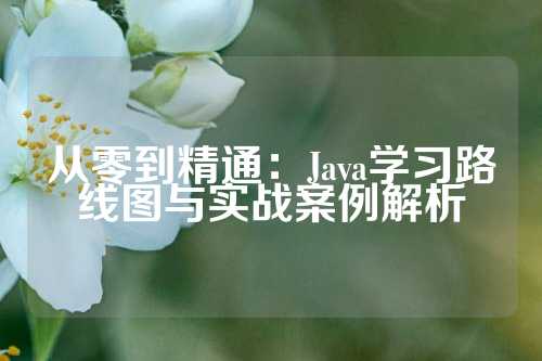 从零到精通：Java学习路线图与实战案例解析