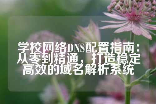 学校网络DNS配置指南：从零到精通，打造稳定高效的域名解析系统