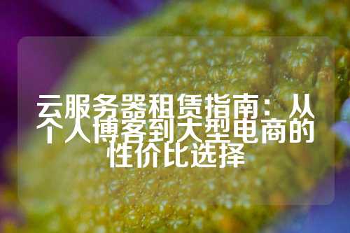 云服务器租赁指南：从个人博客到大型电商的性价比选择