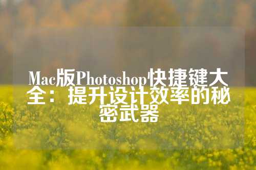 Mac版Photoshop快捷键大全：提升设计效率的秘密武器