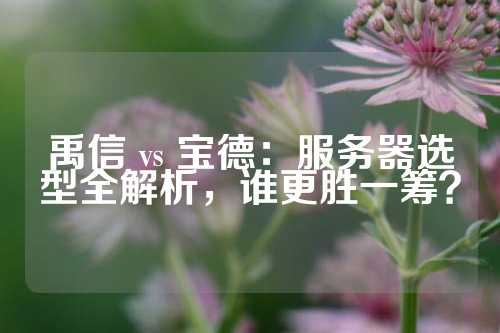 禹信 vs 宝德：服务器选型全解析，谁更胜一筹？