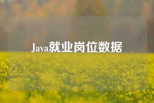 Java就业岗位数据