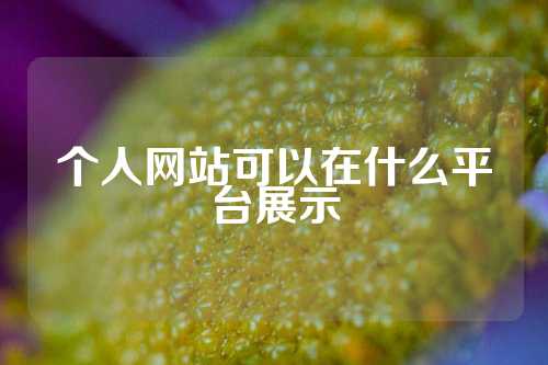 个人网站可以在什么平台展示