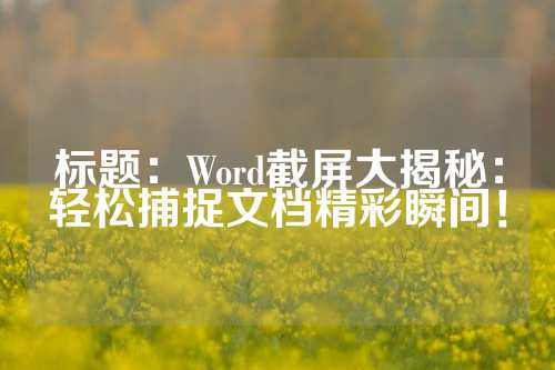 标题：Word截屏大揭秘：轻松捕捉文档精彩瞬间！