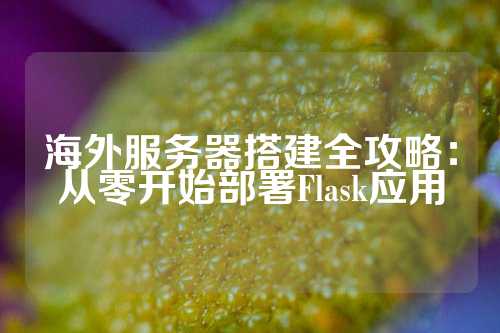 海外服务器搭建全攻略：从零开始部署Flask应用