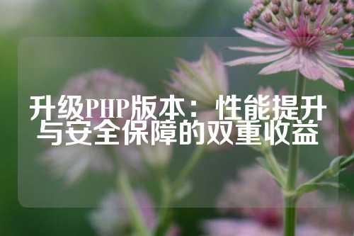 升级PHP版本：性能提升与安全保障的双重收益