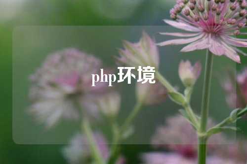 php环境