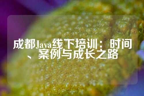 成都Java线下培训：时间、案例与成长之路