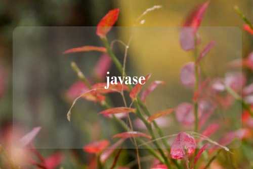 javase