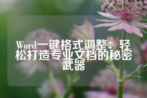 Word一键格式调整：轻松打造专业文档的秘密武器