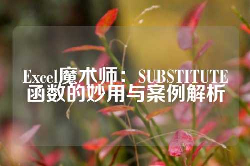 Excel魔术师：SUBSTITUTE函数的妙用与案例解析