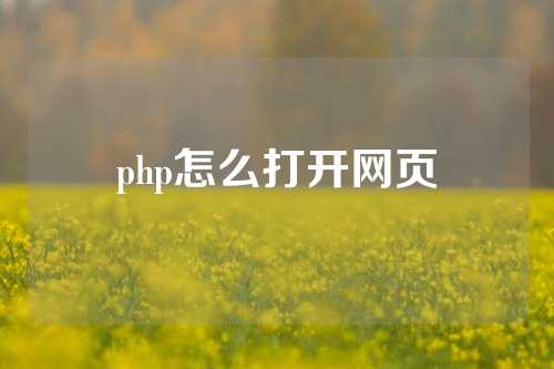 php怎么打开网页