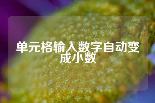 单元格输入数字自动变成小数