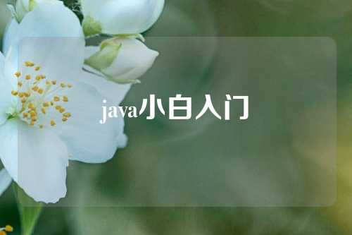 java小白入门