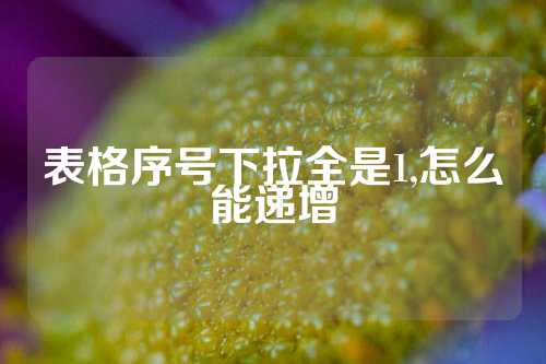 表格序号下拉全是1,怎么能递增