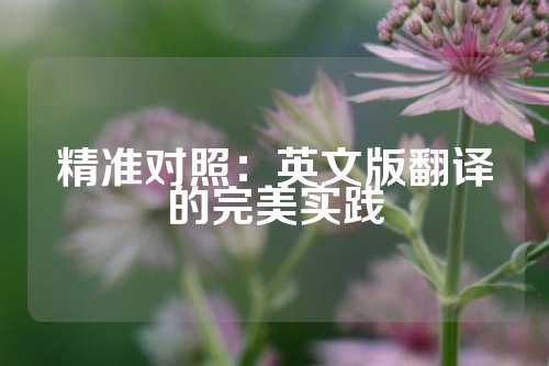 精准对照：英文版翻译的完美实践