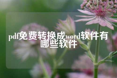 pdf免费转换成word软件有哪些软件