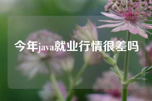 今年java就业行情很差吗