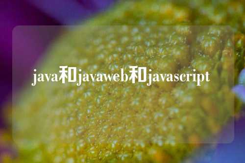 java和javaweb和javascript