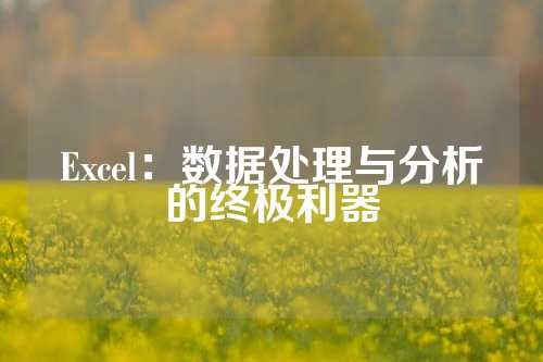 Excel：数据处理与分析的终极利器