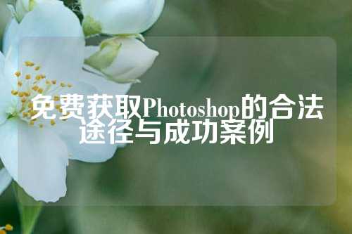 免费获取Photoshop的合法途径与成功案例