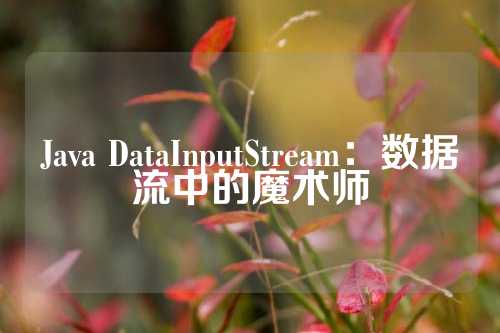 Java DataInputStream：数据流中的魔术师