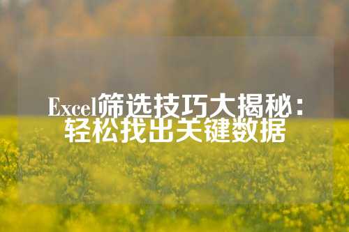 Excel筛选技巧大揭秘：轻松找出关键数据