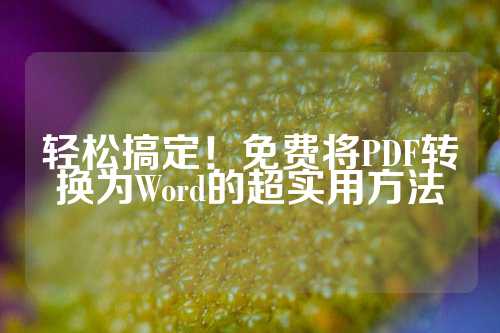 轻松搞定！免费将PDF转换为Word的超实用方法