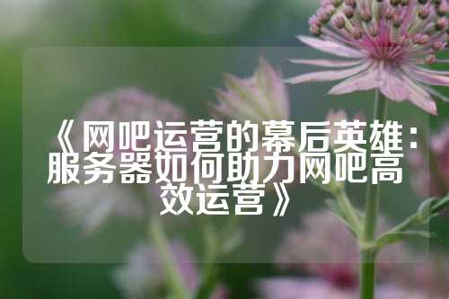 《网吧运营的幕后英雄：服务器如何助力网吧高效运营》