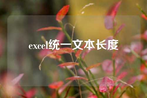 excel统一文本长度