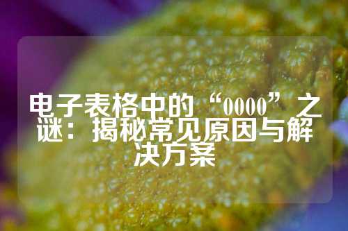 电子表格中的“0000”之谜：揭秘常见原因与解决方案