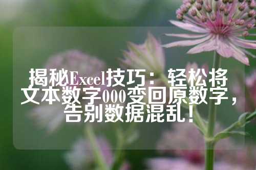 揭秘Excel技巧：轻松将文本数字000变回原数字，告别数据混乱！