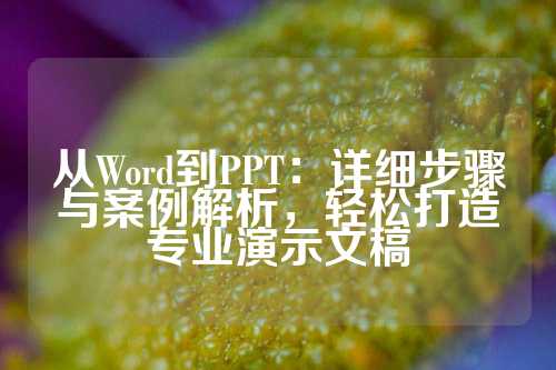 从Word到PPT：详细步骤与案例解析，轻松打造专业演示文稿