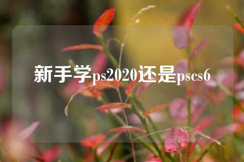 新手学ps2020还是pscs6