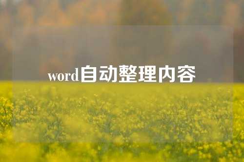 word自动整理内容