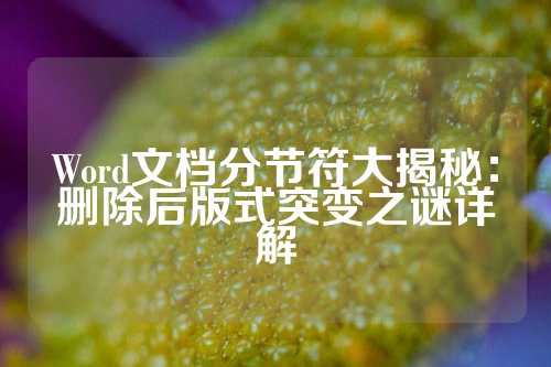 Word文档分节符大揭秘：删除后版式突变之谜详解