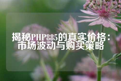 揭秘PHP885的真实价格：市场波动与购买策略