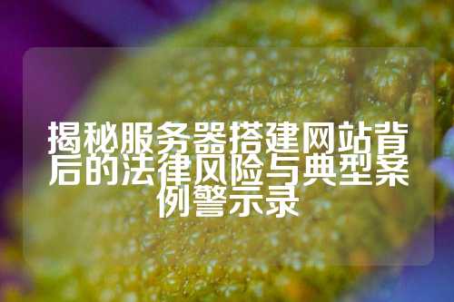 揭秘服务器搭建网站背后的法律风险与典型案例警示录