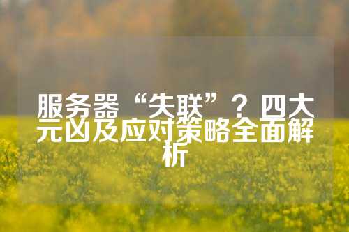 服务器“失联”？四大元凶及应对策略全面解析