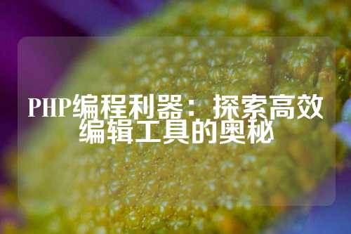 PHP编程利器：探索高效编辑工具的奥秘