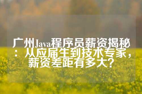 广州Java程序员薪资揭秘：从应届生到技术专家，薪资差距有多大？